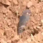 121022769 https://jaipur.visitinrajasthan.com/wp-content/uploads/2023/10/cropped-cropped-R-2.png