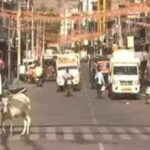 121129011 https://jaipur.visitinrajasthan.com/wp-content/uploads/2023/10/cropped-cropped-R-2.png