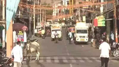121129011 https://jaipur.visitinrajasthan.com/wp-content/uploads/2023/10/cropped-cropped-R-2.png