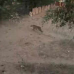 121146651 https://jaipur.visitinrajasthan.com/wp-content/uploads/2023/10/cropped-cropped-R-2.png