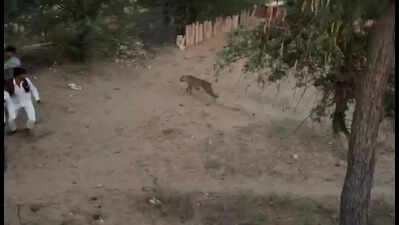 121146651 https://jaipur.visitinrajasthan.com/wp-content/uploads/2023/10/cropped-cropped-R-2.png