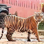 121241521 https://jaipur.visitinrajasthan.com/wp-content/uploads/2023/10/cropped-cropped-R-2.png