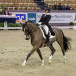 Jaipurs Divyakriti Singh reclaims top global dressage ranking in Asia https://jaipur.visitinrajasthan.com/wp-content/uploads/2023/10/cropped-cropped-R-2.png