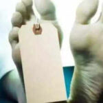 Man kills pregnant live in partner then hangs self in Hanumangarh https://jaipur.visitinrajasthan.com/wp-content/uploads/2023/10/cropped-cropped-R-2.png