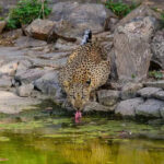 msid 120833362imgsize 102210.cms https://jaipur.visitinrajasthan.com/wp-content/uploads/2023/10/cropped-cropped-R-2.png