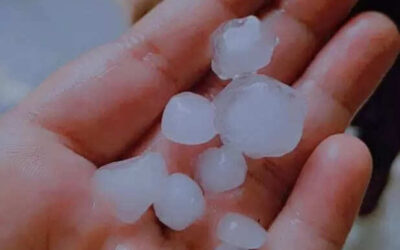 msid 120909108imgsize 16598.cms https://jaipur.visitinrajasthan.com/wp-content/uploads/2023/10/cropped-cropped-R-2.png