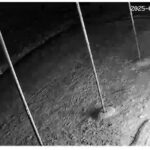 msid 120941794imgsize 28468.cms https://jaipur.visitinrajasthan.com/wp-content/uploads/2023/10/cropped-cropped-R-2.png