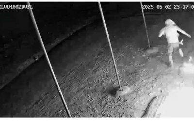 msid 120941794imgsize 28468.cms https://jaipur.visitinrajasthan.com/wp-content/uploads/2023/10/cropped-cropped-R-2.png