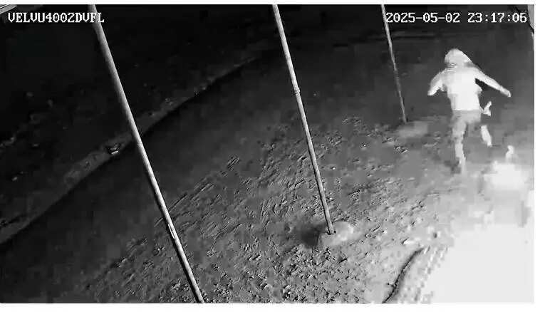 msid 120941794imgsize 28468.cms https://jaipur.visitinrajasthan.com/wp-content/uploads/2023/10/cropped-cropped-R-2.png