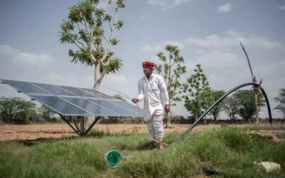 msid 120942345imgsize 54400.cms https://jaipur.visitinrajasthan.com/wp-content/uploads/2023/10/cropped-cropped-R-2.png