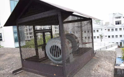 msid 120942576imgsize 72634.cms https://jaipur.visitinrajasthan.com/wp-content/uploads/2023/10/cropped-cropped-R-2.png