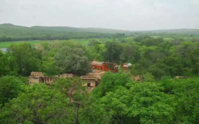 msid 121121166imgsize 64260.cms https://jaipur.visitinrajasthan.com/wp-content/uploads/2023/10/cropped-cropped-R-2.png