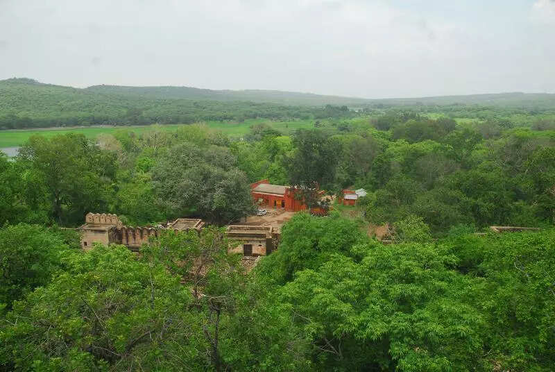 msid 121121166imgsize 64260.cms https://jaipur.visitinrajasthan.com/wp-content/uploads/2023/10/cropped-cropped-R-2.png