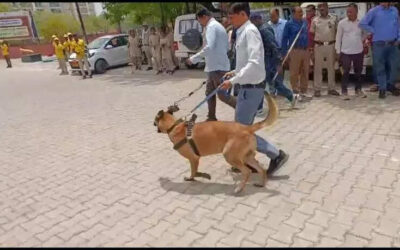 msid 121170301imgsize 37584.cms https://jaipur.visitinrajasthan.com/wp-content/uploads/2023/10/cropped-cropped-R-2.png