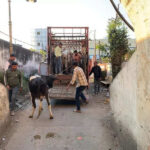 msid 121220114imgsize 74056.cms https://jaipur.visitinrajasthan.com/wp-content/uploads/2023/10/cropped-cropped-R-2.png