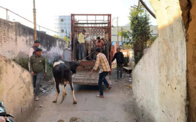 msid 121220114imgsize 74056.cms https://jaipur.visitinrajasthan.com/wp-content/uploads/2023/10/cropped-cropped-R-2.png