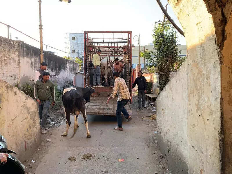 msid 121220114imgsize 74056.cms https://jaipur.visitinrajasthan.com/wp-content/uploads/2023/10/cropped-cropped-R-2.png