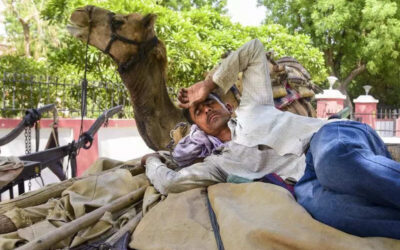 msid 121241432imgsize 83306.cms https://jaipur.visitinrajasthan.com/wp-content/uploads/2023/10/cropped-cropped-R-2.png