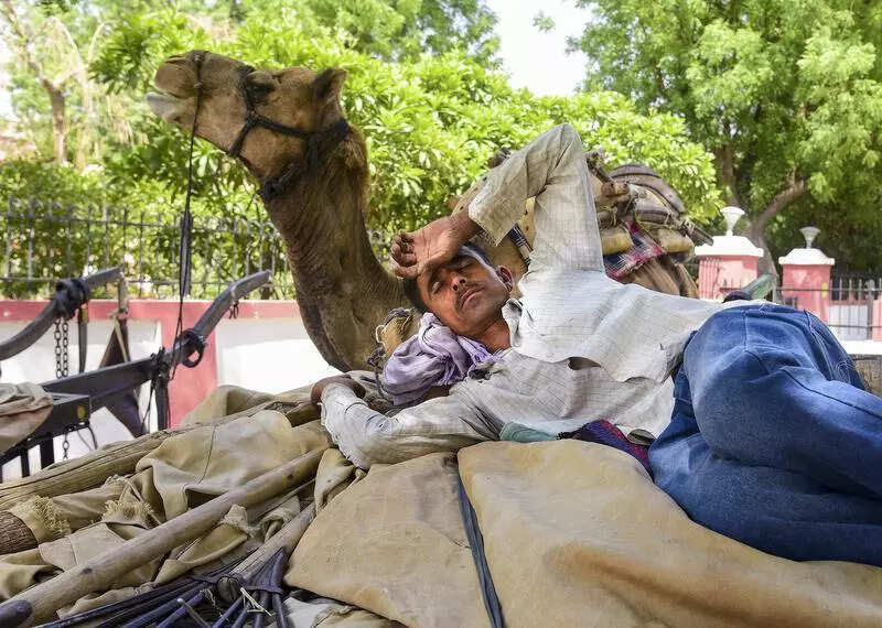msid 121241432imgsize 83306.cms https://jaipur.visitinrajasthan.com/wp-content/uploads/2023/10/cropped-cropped-R-2.png