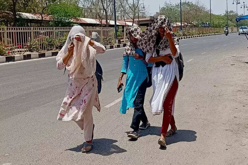 msid 121275745imgsize 108204.cms https://jaipur.visitinrajasthan.com/wp-content/uploads/2023/10/cropped-cropped-R-2.png