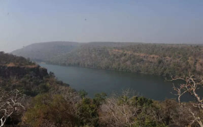 msid 121448596imgsize 44970.cms https://jaipur.visitinrajasthan.com/wp-content/uploads/2023/10/cropped-cropped-R-2.png