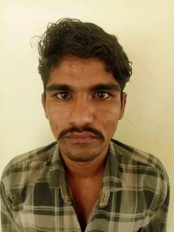 msid 121448758imgsize 24774.cms https://jaipur.visitinrajasthan.com/wp-content/uploads/2023/10/cropped-cropped-R-2.png