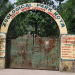 msid 121473903imgsize 88766.cms https://jaipur.visitinrajasthan.com/wp-content/uploads/2023/10/cropped-cropped-R-2.png