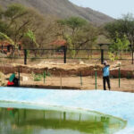 msid 121504461imgsize 80126.cms https://jaipur.visitinrajasthan.com/wp-content/uploads/2023/10/cropped-cropped-R-2.png
