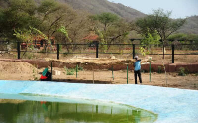 msid 121504461imgsize 80126.cms https://jaipur.visitinrajasthan.com/wp-content/uploads/2023/10/cropped-cropped-R-2.png