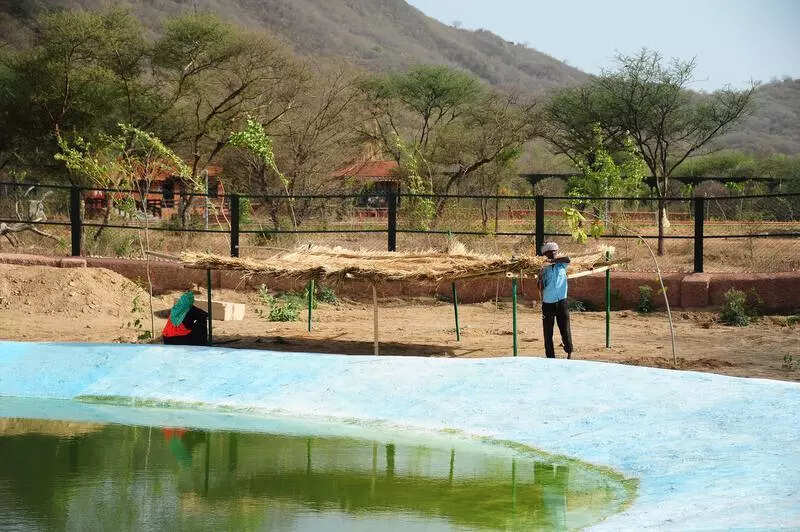 msid 121504461imgsize 80126.cms https://jaipur.visitinrajasthan.com/wp-content/uploads/2023/10/cropped-cropped-R-2.png