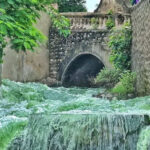 msid 121504572imgsize 117028.cms https://jaipur.visitinrajasthan.com/wp-content/uploads/2023/10/cropped-cropped-R-2.png