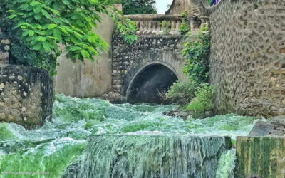 msid 121504572imgsize 117028.cms https://jaipur.visitinrajasthan.com/wp-content/uploads/2023/10/cropped-cropped-R-2.png