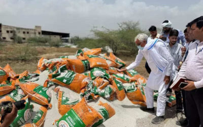 msid 121525006imgsize 75256.cms https://jaipur.visitinrajasthan.com/wp-content/uploads/2023/10/cropped-cropped-R-2.png