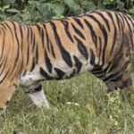 121548303 https://jaipur.visitinrajasthan.com/wp-content/uploads/2023/10/cropped-cropped-R-2.png