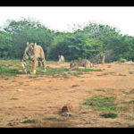 121555821 https://jaipur.visitinrajasthan.com/wp-content/uploads/2023/10/cropped-cropped-R-2.png