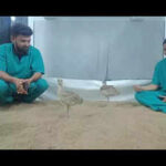 121683199 https://jaipur.visitinrajasthan.com/wp-content/uploads/2023/10/cropped-cropped-R-2.png