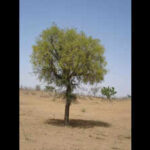 121810406 https://jaipur.visitinrajasthan.com/wp-content/uploads/2023/10/cropped-cropped-R-2.png