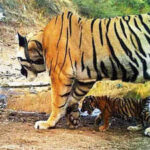 121868550 https://jaipur.visitinrajasthan.com/wp-content/uploads/2023/10/cropped-cropped-R-2.png