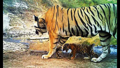121868550 https://jaipur.visitinrajasthan.com/wp-content/uploads/2023/10/cropped-cropped-R-2.png