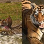 121964269 https://jaipur.visitinrajasthan.com/wp-content/uploads/2023/10/cropped-cropped-R-2.png