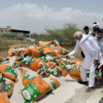 msid 121631336imgsize 75256.cms https://jaipur.visitinrajasthan.com/wp-content/uploads/2023/10/cropped-cropped-R-2.png