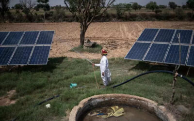 msid 121658051imgsize 68328.cms https://jaipur.visitinrajasthan.com/wp-content/uploads/2023/10/cropped-cropped-R-2.png