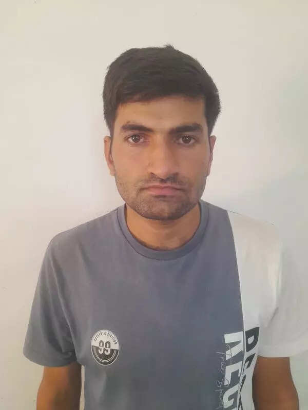 msid 121700266imgsize 13012.cms https://jaipur.visitinrajasthan.com/wp-content/uploads/2023/10/cropped-cropped-R-2.png