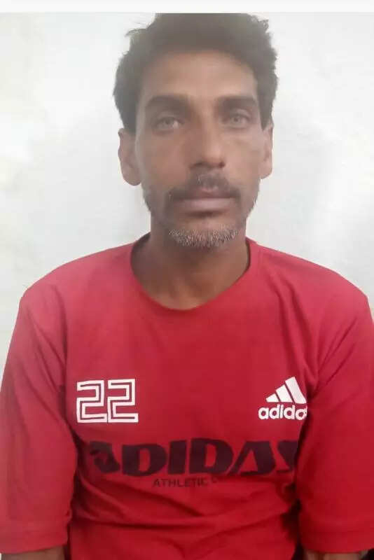 msid 121700363imgsize 13612.cms https://jaipur.visitinrajasthan.com/wp-content/uploads/2023/10/cropped-cropped-R-2.png