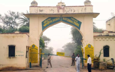 msid 121700385imgsize 47082.cms https://jaipur.visitinrajasthan.com/wp-content/uploads/2023/10/cropped-cropped-R-2.png