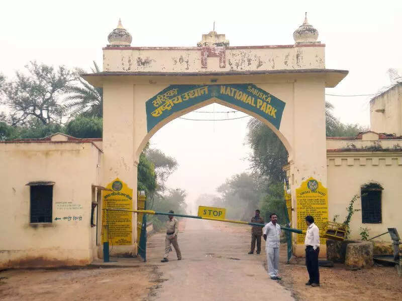msid 121700385imgsize 47082.cms https://jaipur.visitinrajasthan.com/wp-content/uploads/2023/10/cropped-cropped-R-2.png