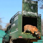 msid 121761952imgsize 57134.cms https://jaipur.visitinrajasthan.com/wp-content/uploads/2023/10/cropped-cropped-R-2.png