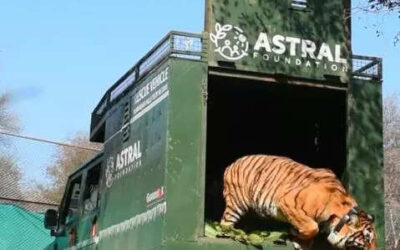 msid 121761952imgsize 57134.cms https://jaipur.visitinrajasthan.com/wp-content/uploads/2023/10/cropped-cropped-R-2.png