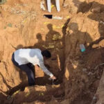 msid 121786169imgsize 62158.cms https://jaipur.visitinrajasthan.com/wp-content/uploads/2023/10/cropped-cropped-R-2.png