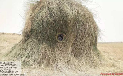 msid 121810449imgsize 88768.cms https://jaipur.visitinrajasthan.com/wp-content/uploads/2023/10/cropped-cropped-R-2.png